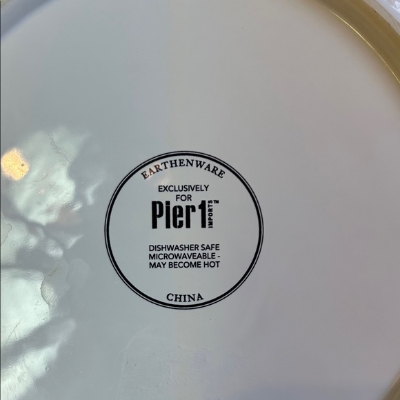 RARE Pier 1 Raccoon Canoe Decorative 8.5 Plate set of 4 - Picture 4 of 5